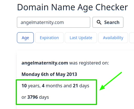 Domain Age